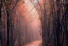 黑白直播网-雷霆万钧！青春风暴横扫休斯顿，俄城新王登基之路再添史诗注脚