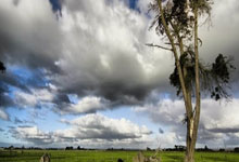 黑白直播网-雷霆万钧！青春风暴横扫休斯顿，俄城新王登基之路再添史诗注脚