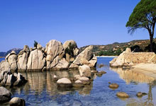 黑白直播网-雷霆万钧！青春风暴横扫休斯顿，俄城新王登基之路再添史诗注脚