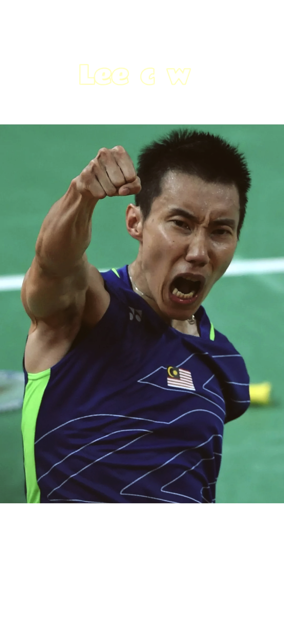 印尼羽毛球队完胜英格兰羽毛球队,李宗伟惊艳世界的简单介绍 印尼羽毛球队完胜英格兰羽毛球队,李宗伟惊艳世界的简单介绍