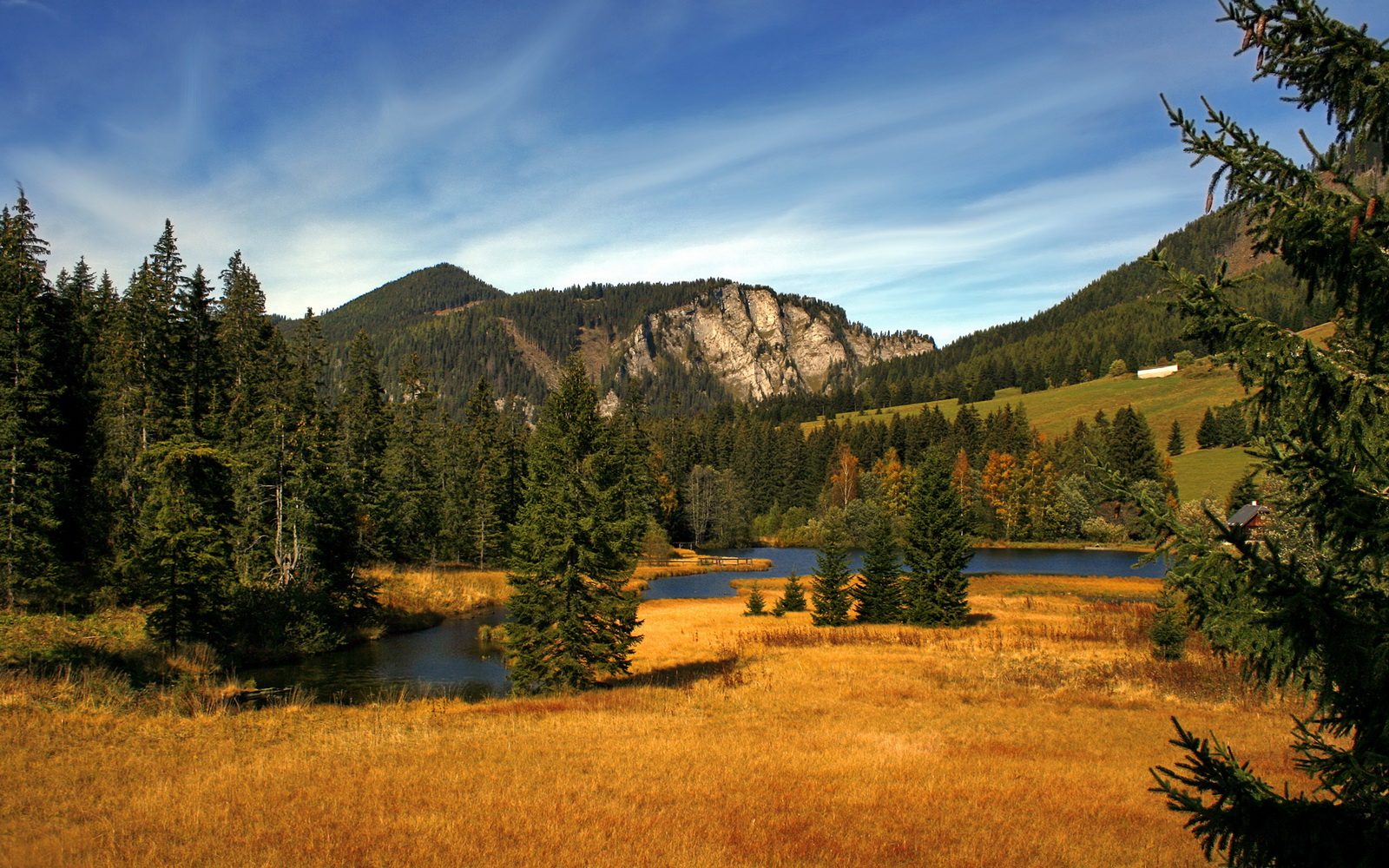 黑白直播在线观看-逆境中的光辉，梅西在玻利维亚对阵法国阴影下的压力爆发