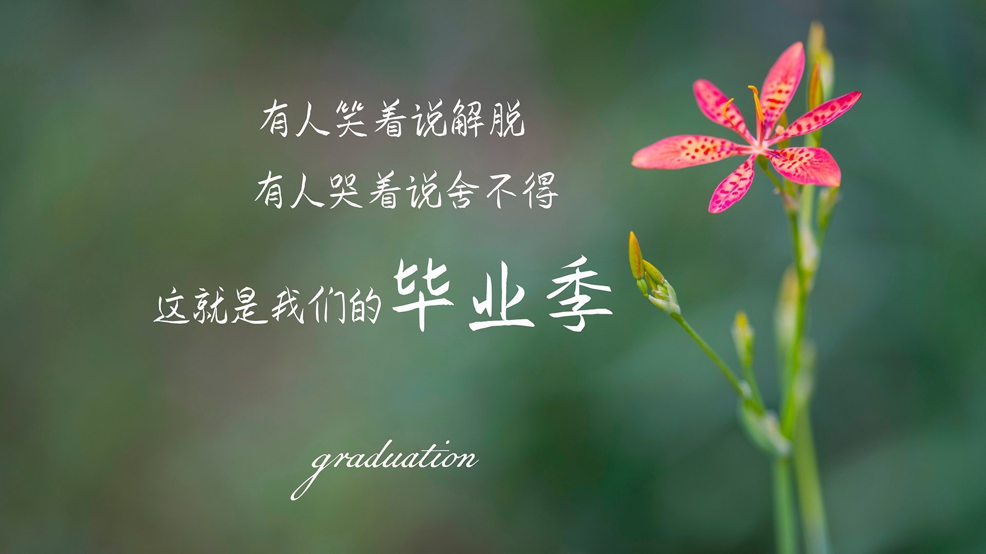 奥运周期关键战之夜,米切尔让比赛提前失去悬念