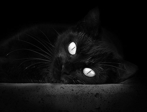 蓝色闪电，牙买加式高压与福登的完美风暴，如何肢解枪手体系