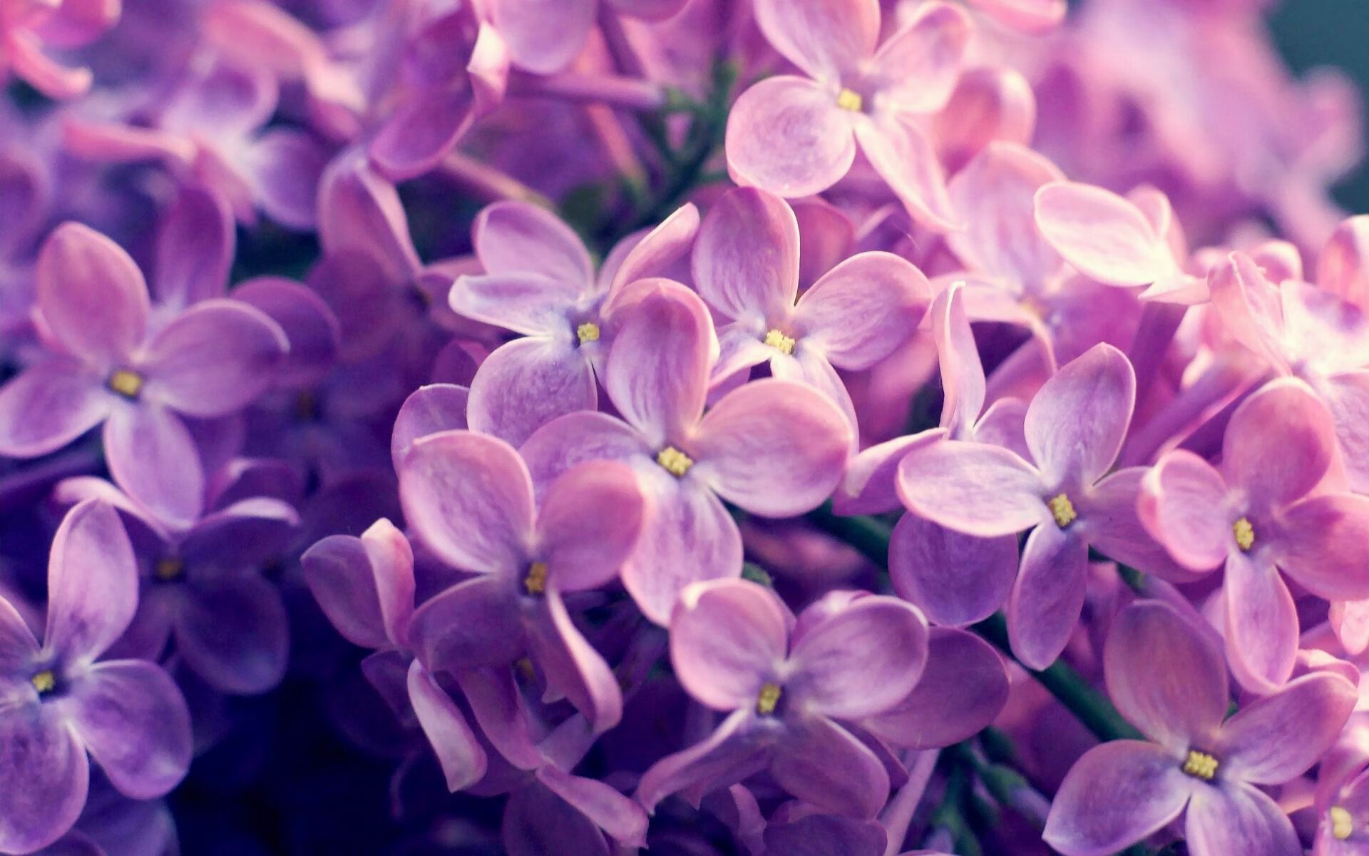 黑白直播体育-双塔擎天！浙江最后时刻逆转骑士，班凯罗一攻一防定乾坤