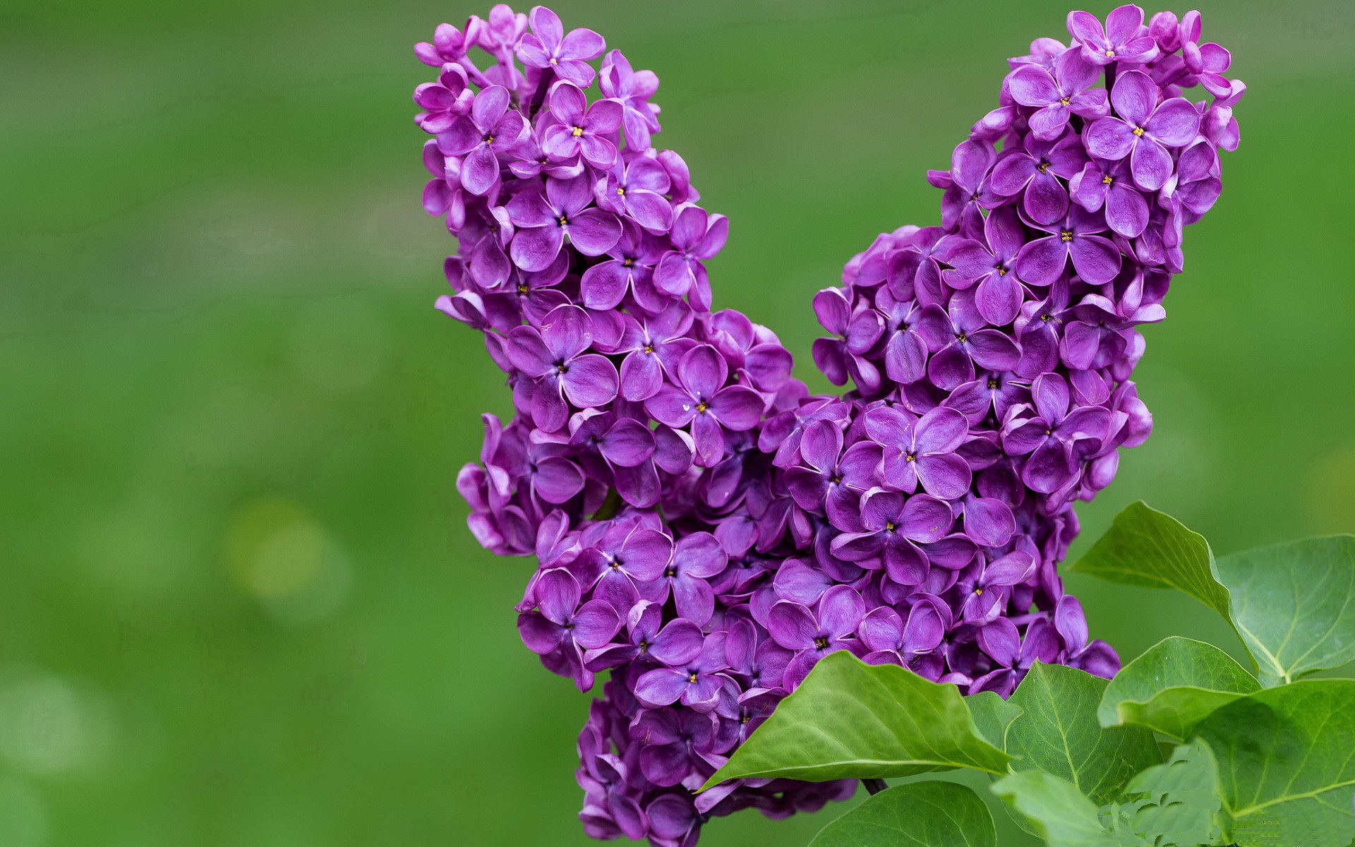 克莱9记三分击穿天山,篮网单节43分风暴撕裂新疆防线