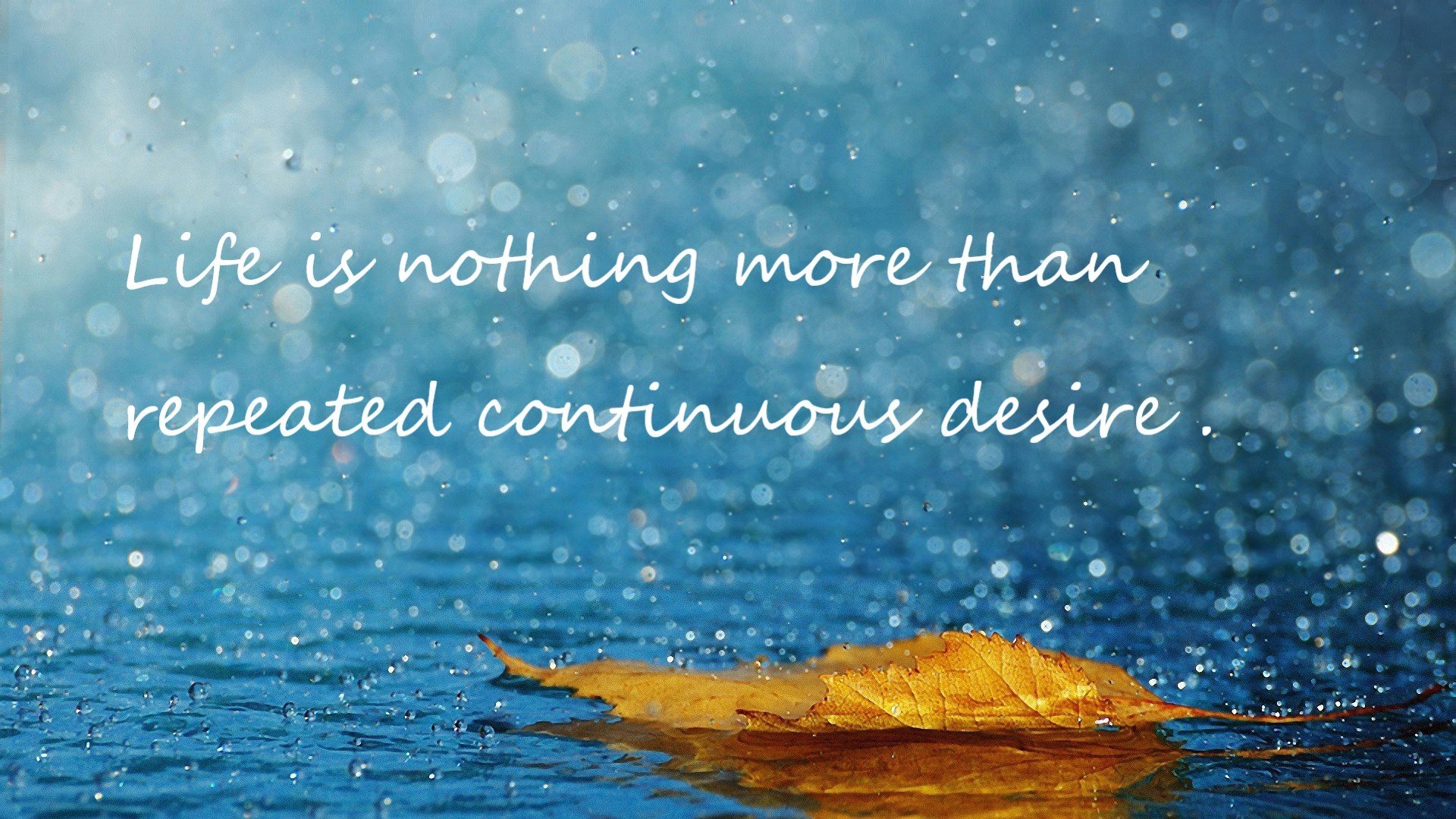 黑白直播nba在线观看-范弗利特加时封神,76人鏖战力克步行者迎关键胜利