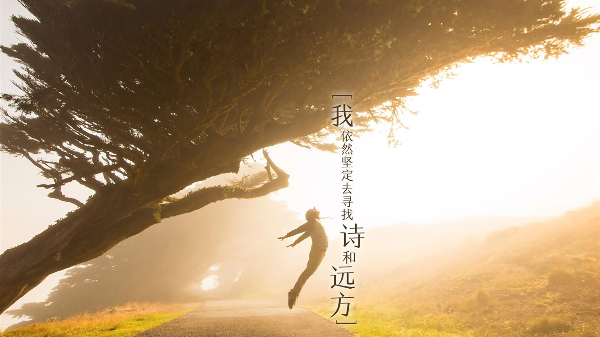 黑白直播-橙衣军团横扫千军，荷兰3-0完胜波兰，阿诺德率队防守固若金汤
