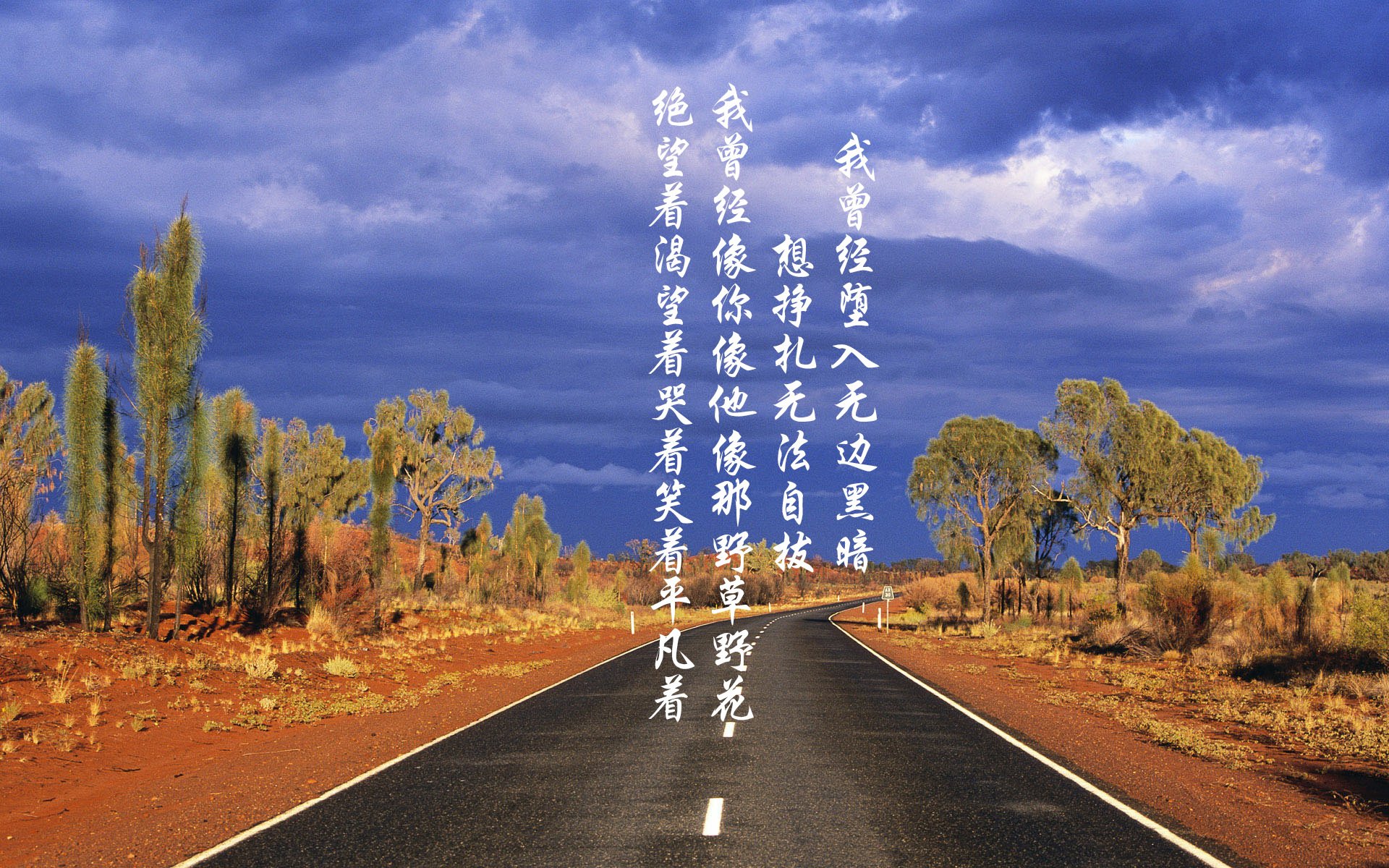 沙漠之狐的逆袭，齐耶赫致命一击，突尼斯压制意大利震惊2026世界杯